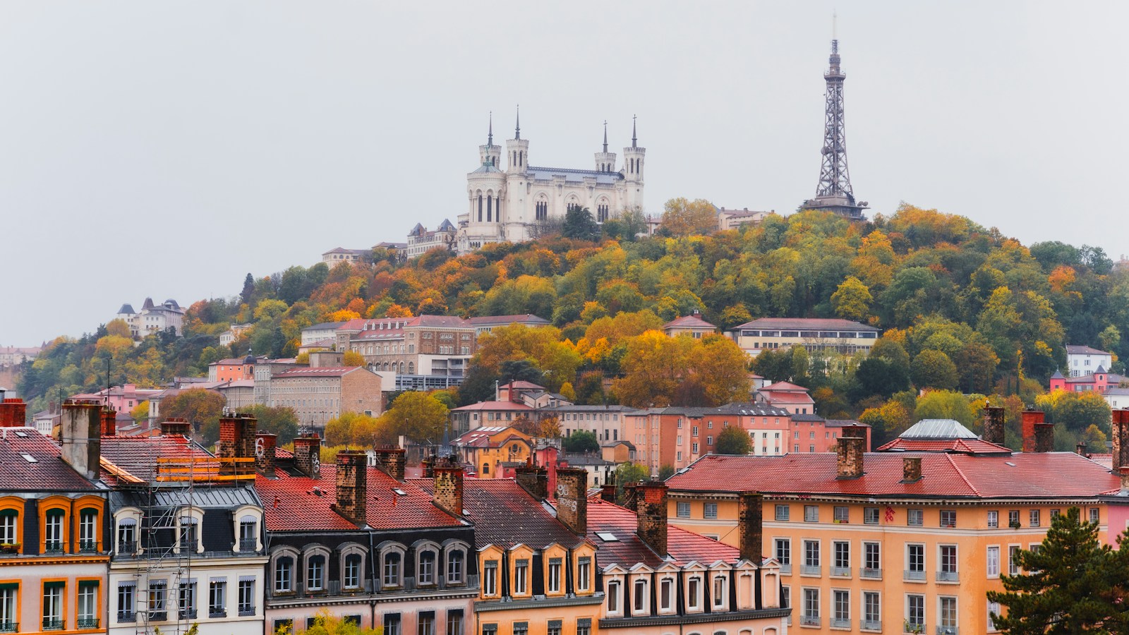 Baromètre lyon.food : les 10 restos qui montent (octobre 2026)