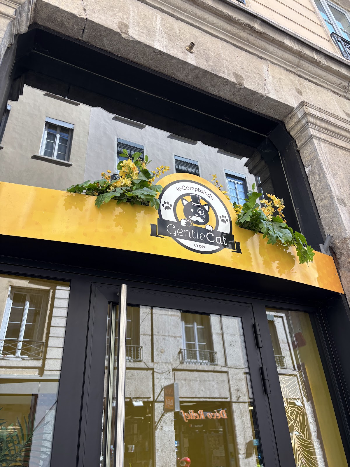 Restaurant Le GentleCat à Lyon