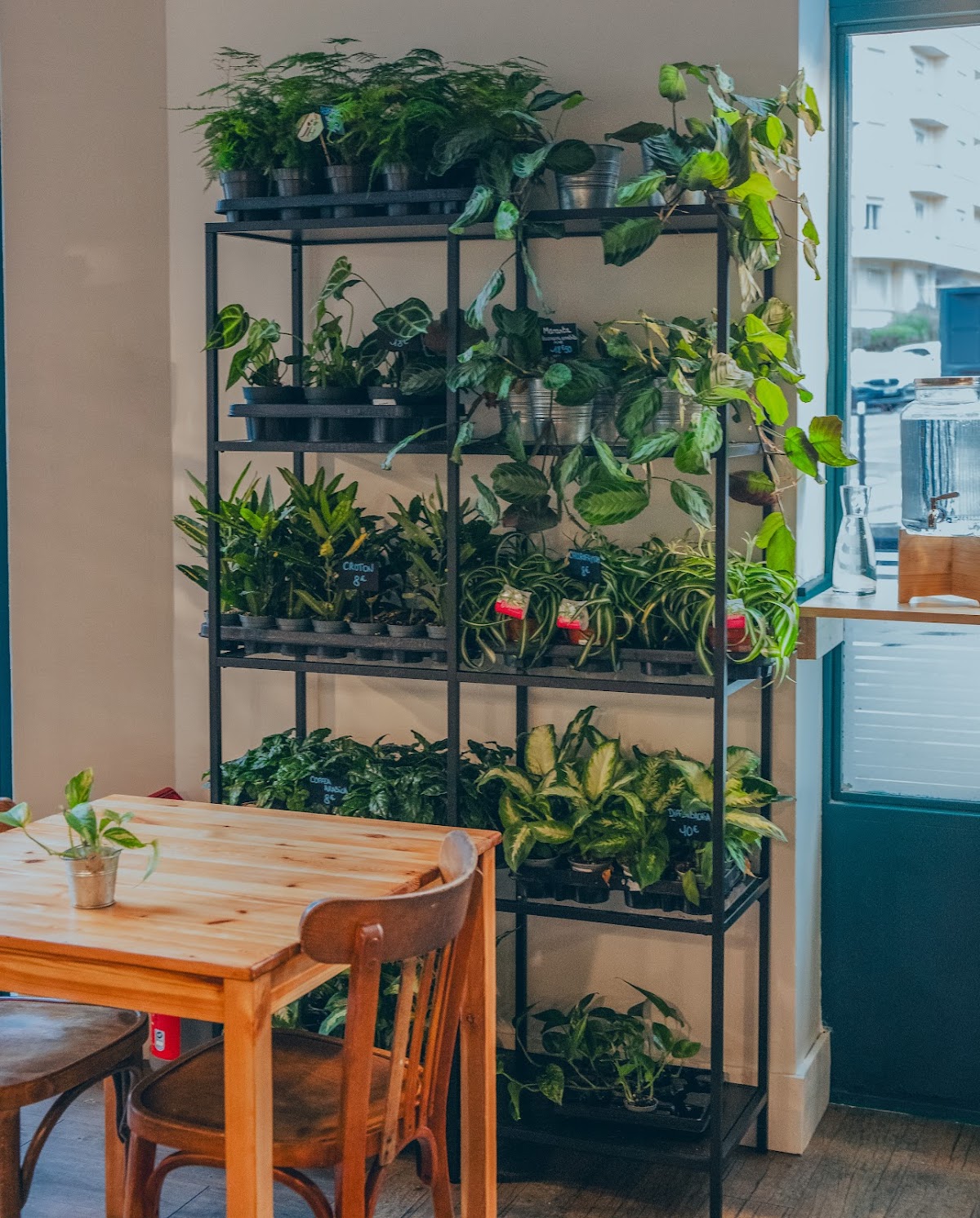 Restaurant Les Dimanches chez Lou à Lyon