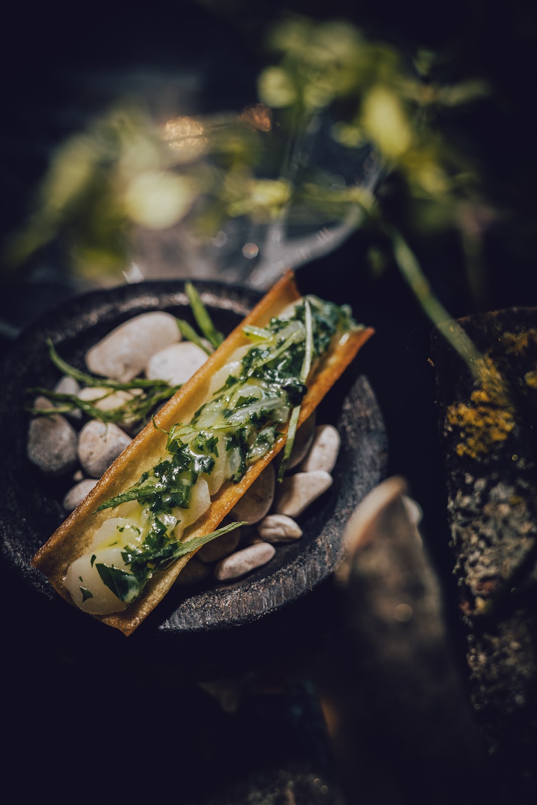 Restaurant 220BPM par Jeremy GALVAN à Lyon