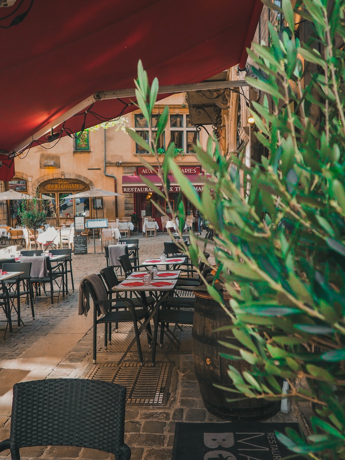 Restaurant Maitre Boeuf à Lyon