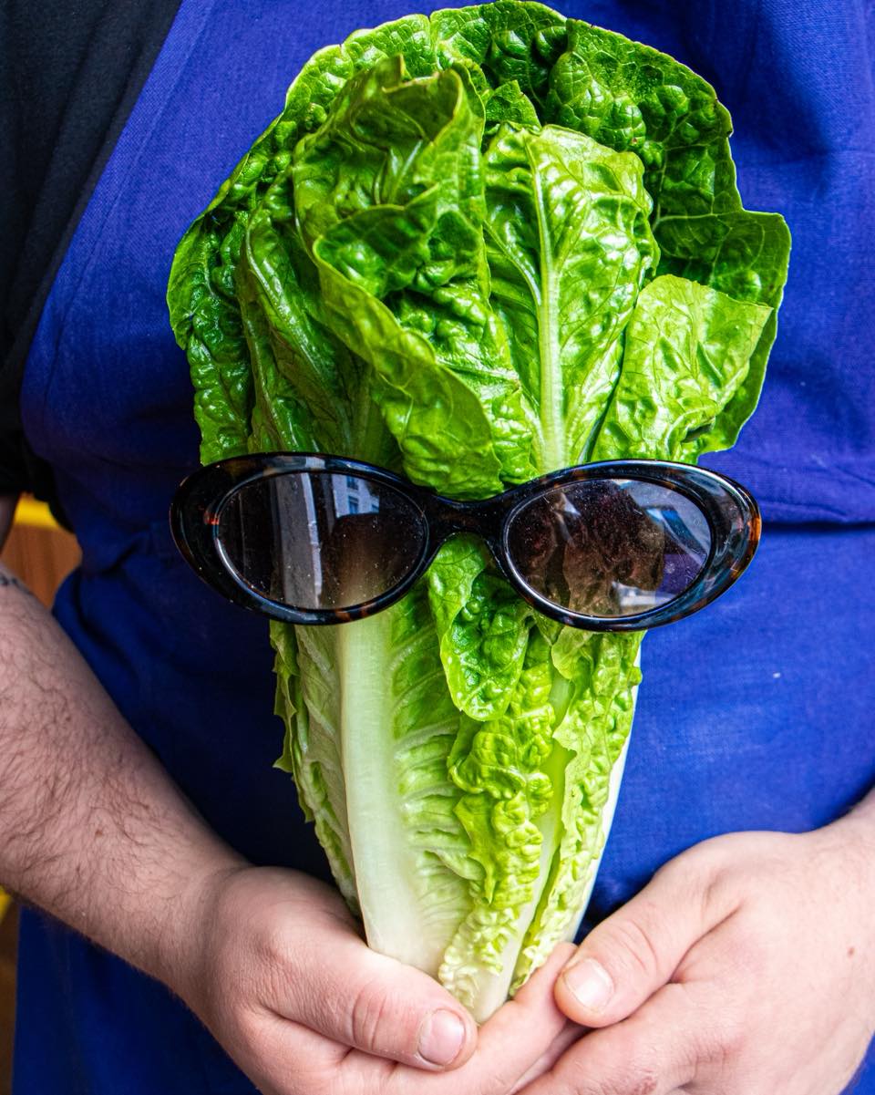 Pignouf sur Instagram