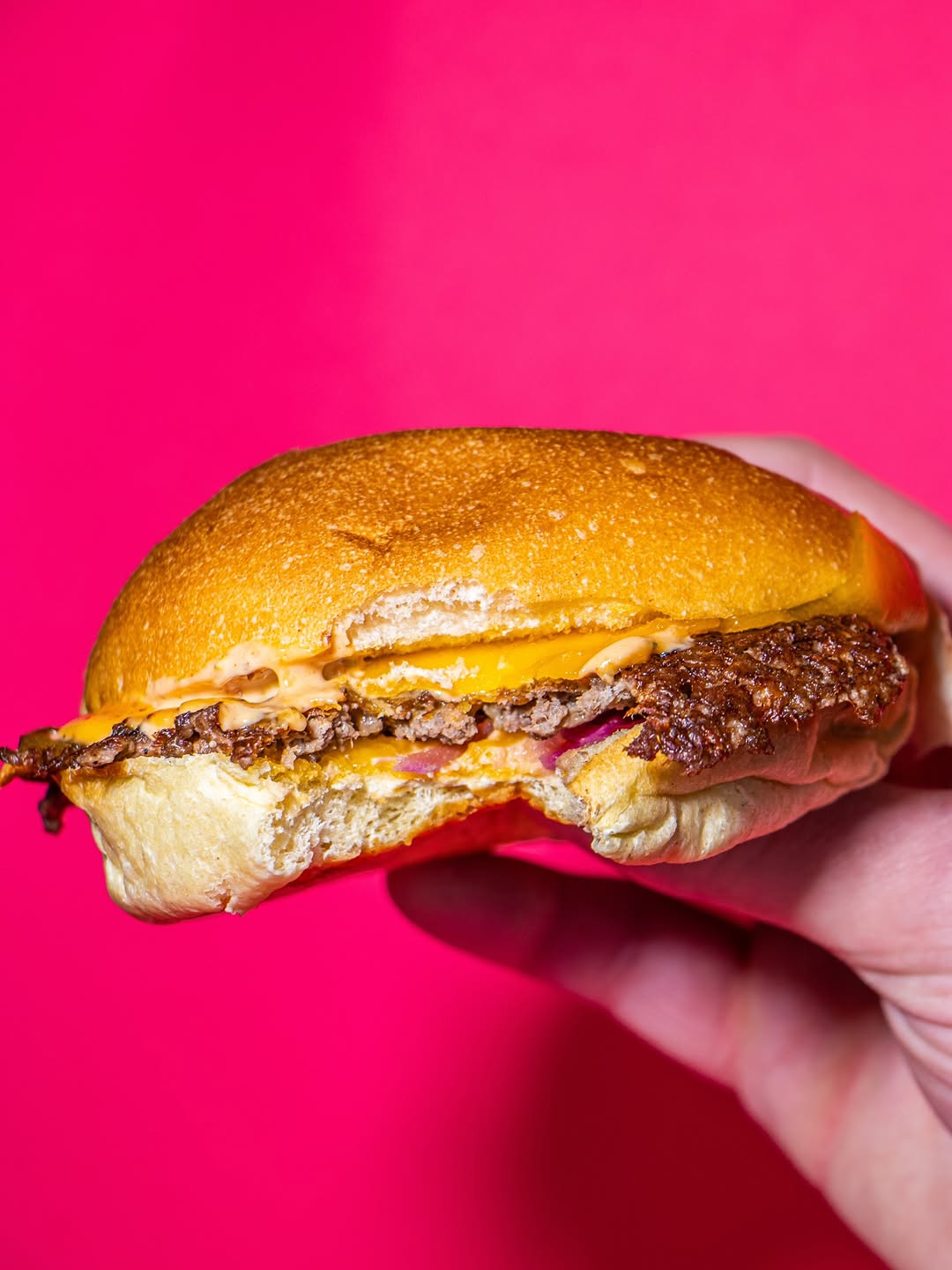 Pignouf sur Instagram