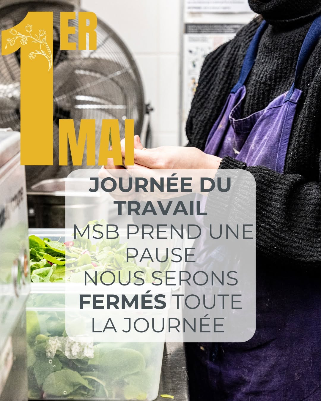 Msb sur Instagram