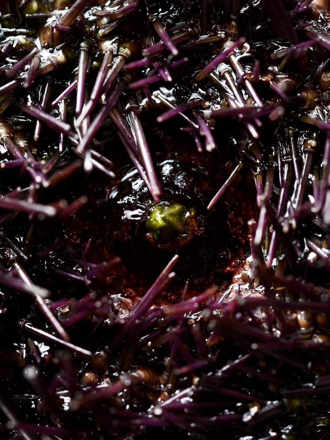 Rustique sur Instagram