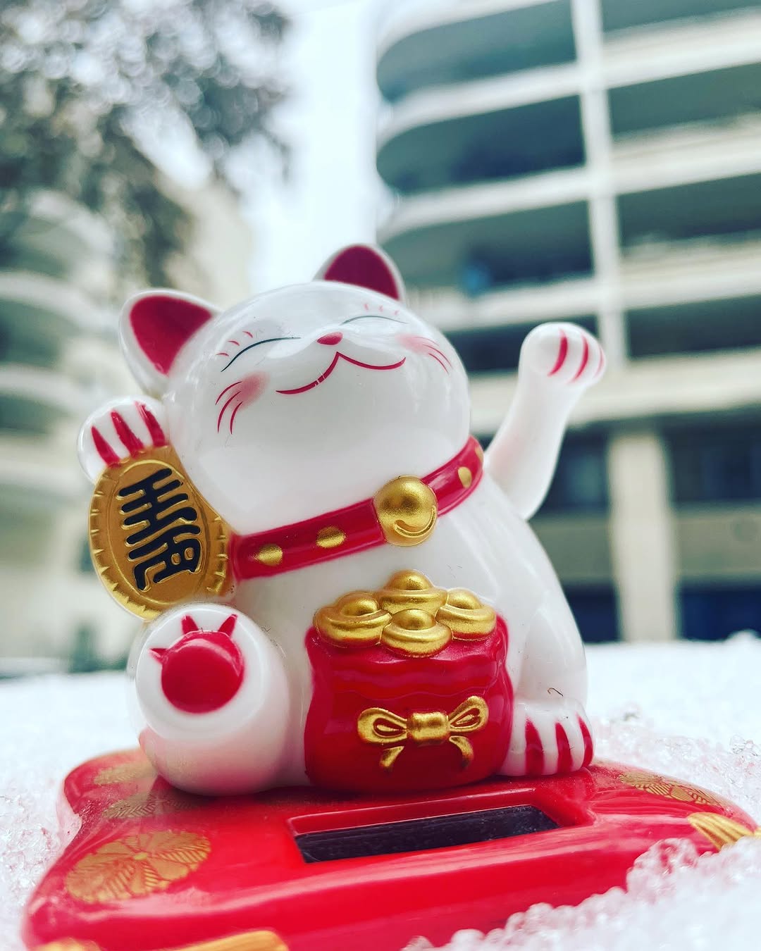 Haiku sur Instagram