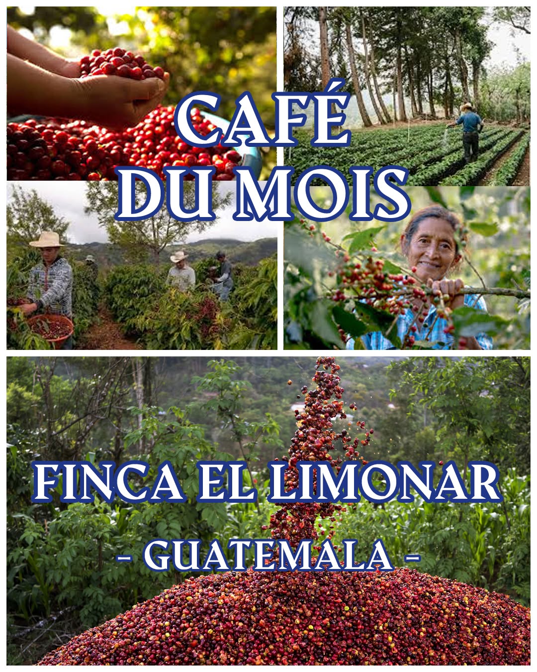 Nuage café sur Instagram