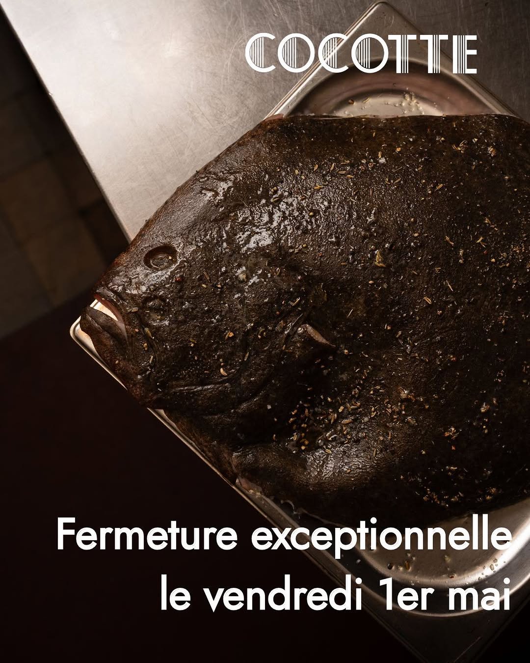 Cocotte Lyon sur Instagram