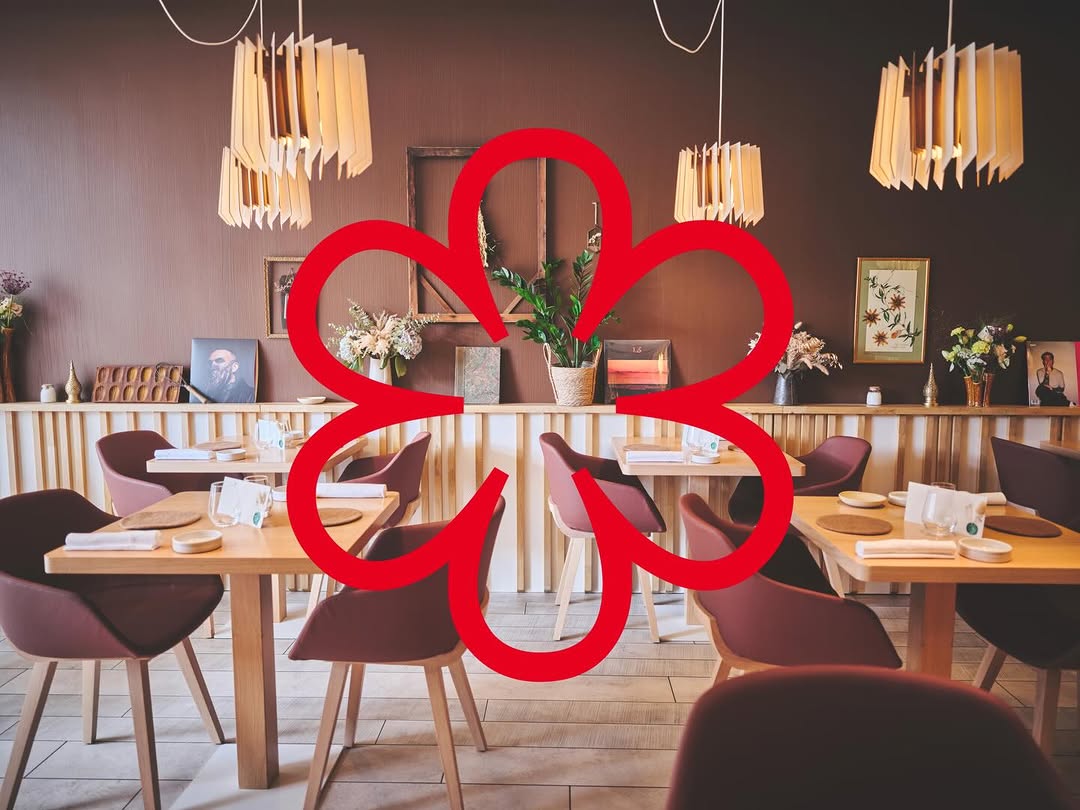 Circle sur Instagram