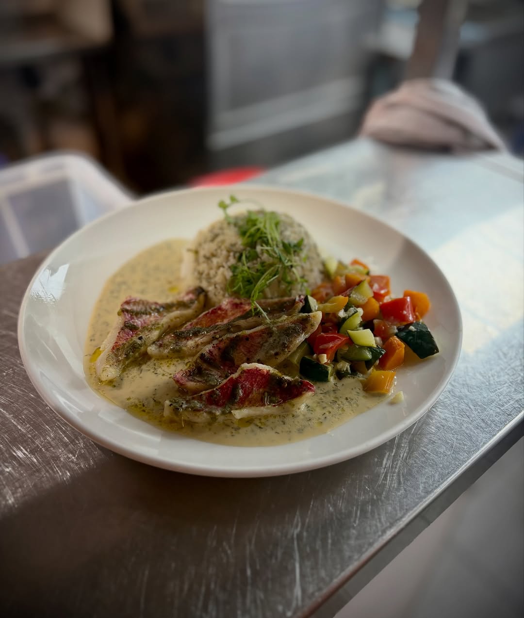 Le Lyon de L'Atlas sur Instagram