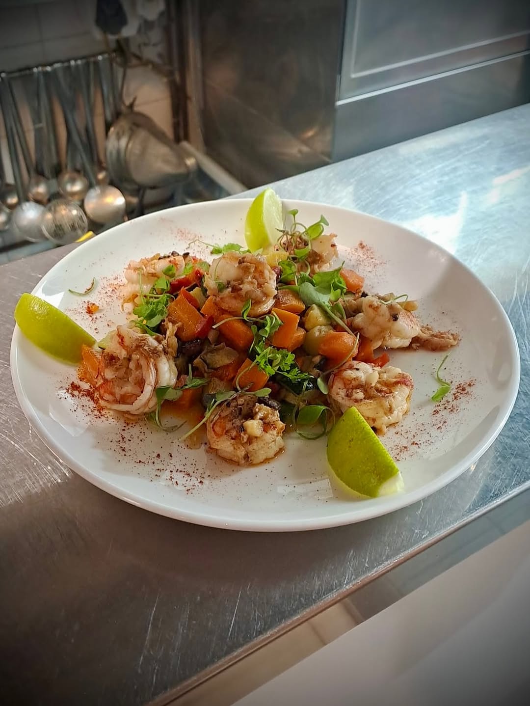 Le Lyon de L'Atlas sur Instagram