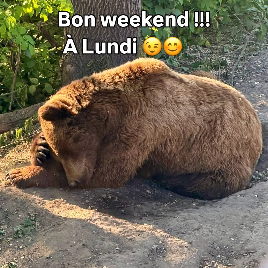Bistrot 96 sur Instagram
