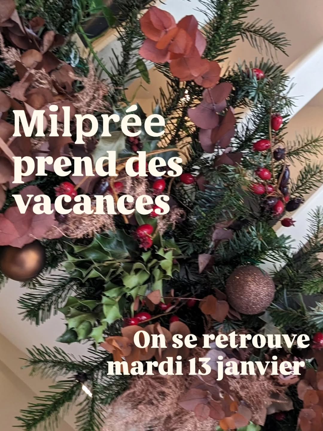 Milprée sur Instagram