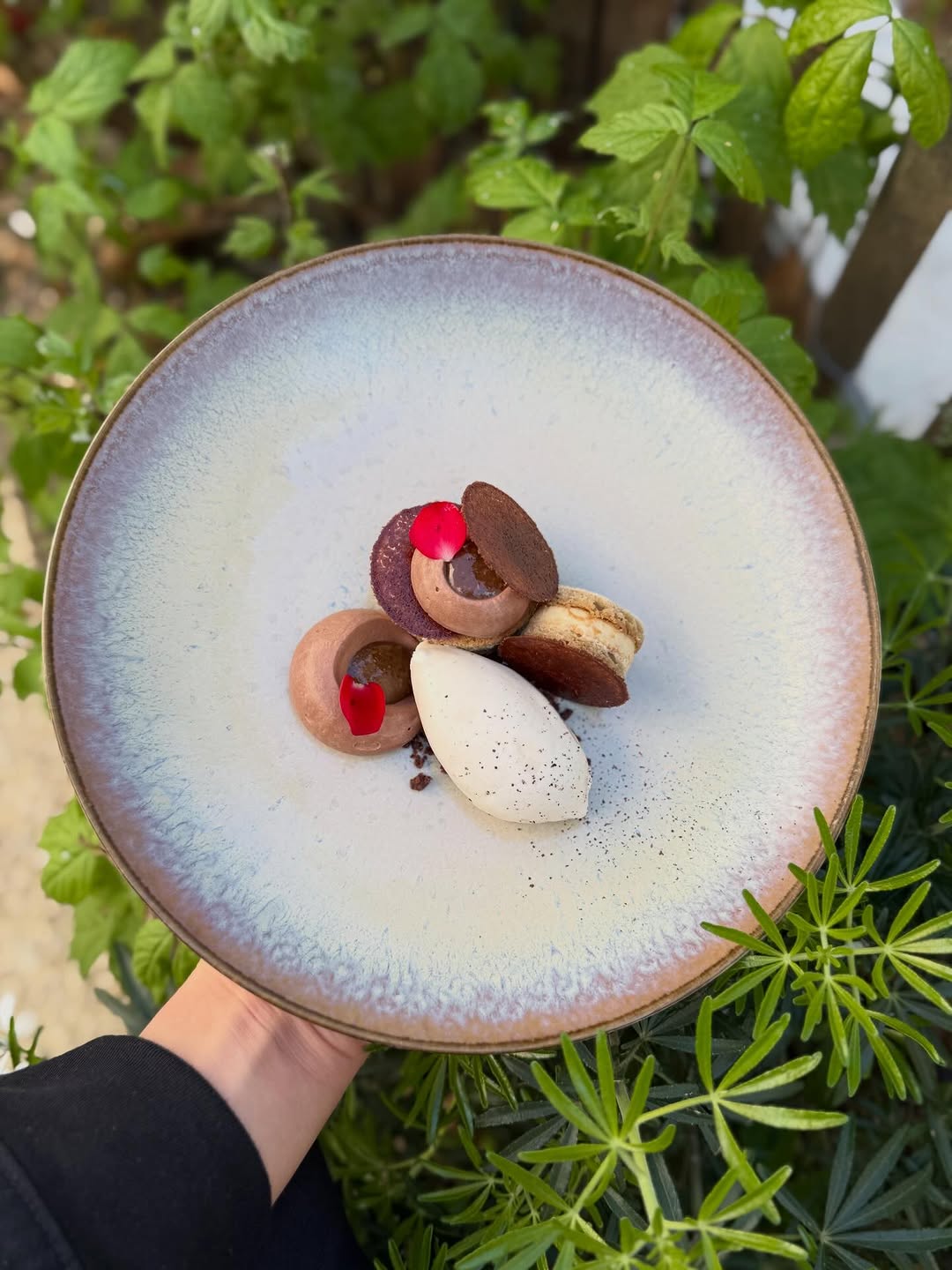 WineYouWant sur Instagram