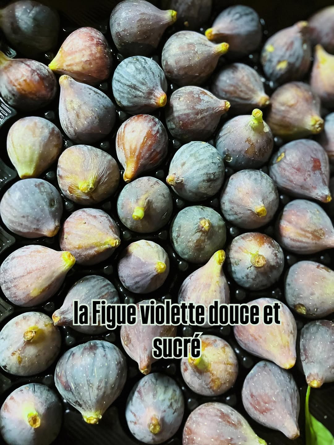 A l'Improviste sur Instagram