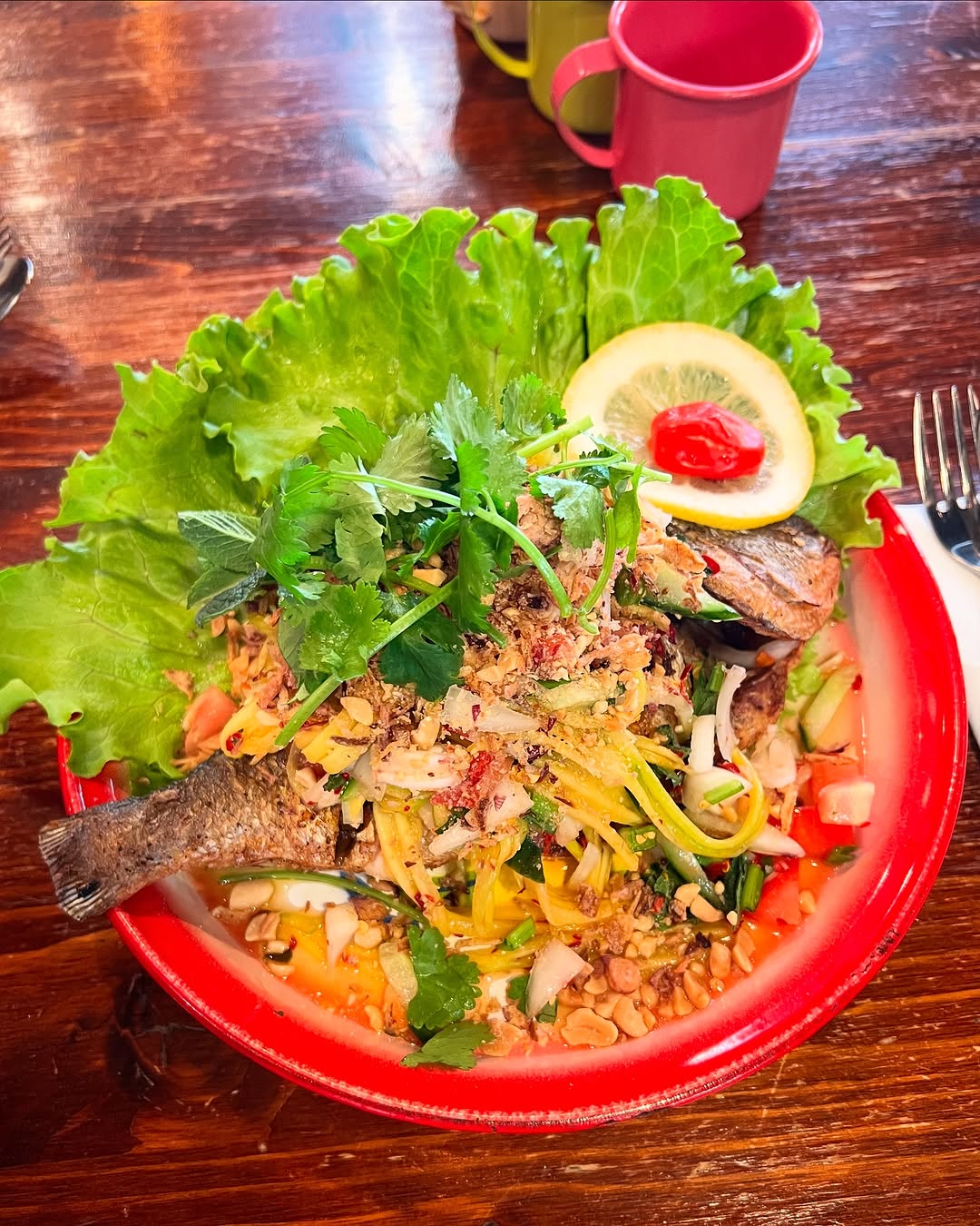 Les Petits Siamois sur Instagram