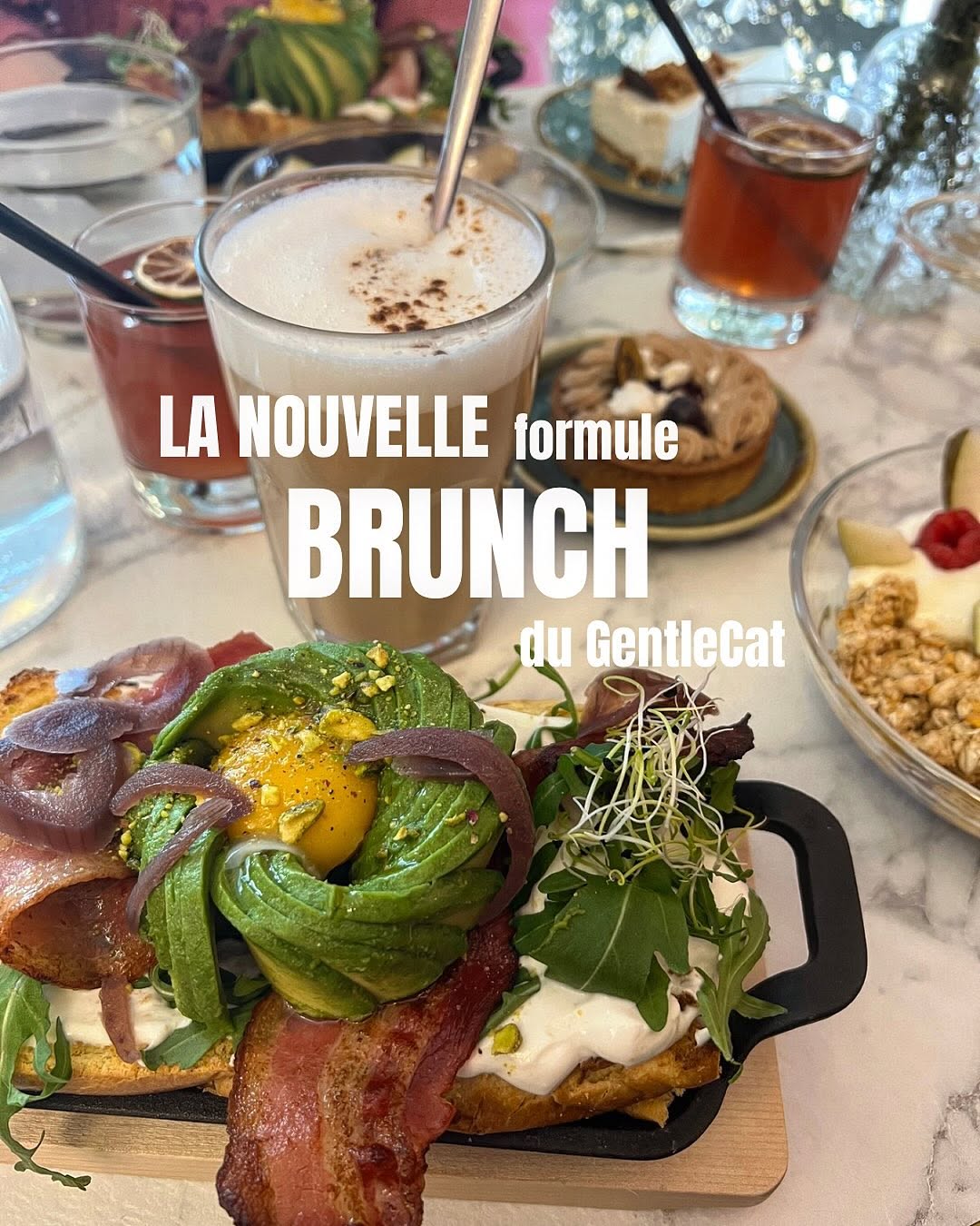 Le GentleCat sur Instagram