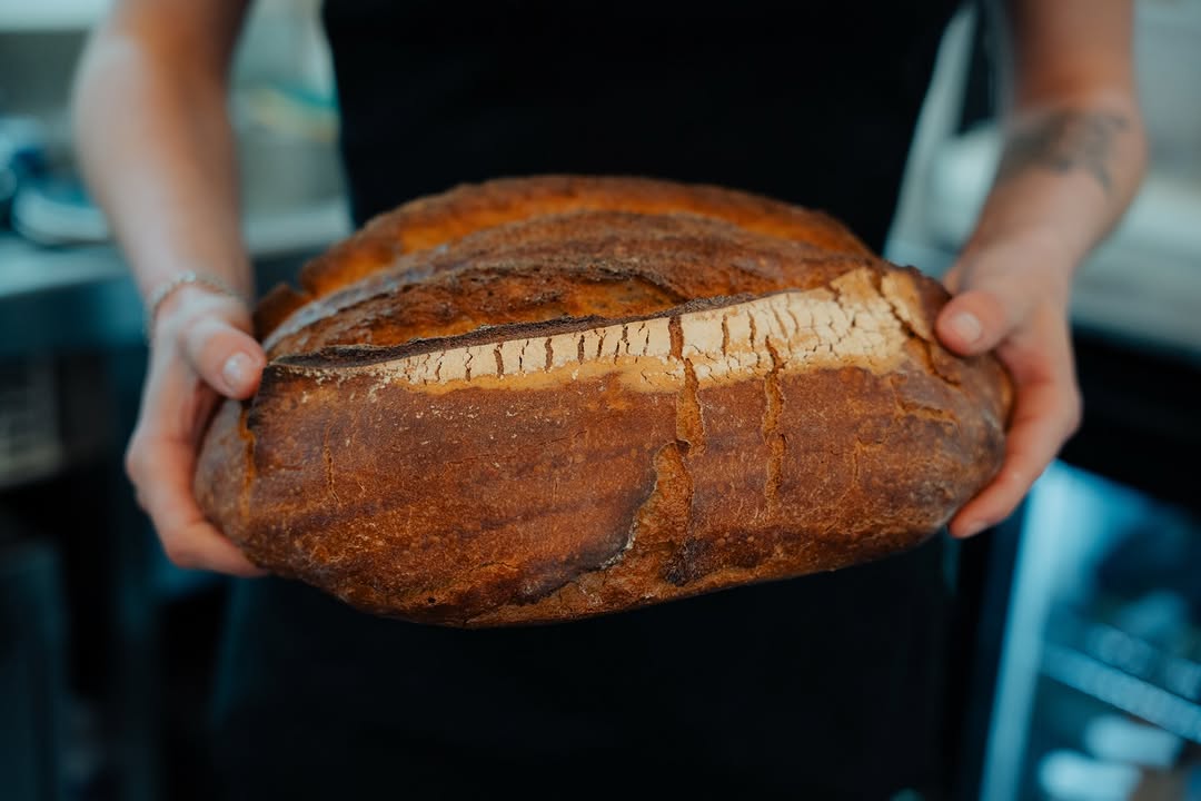 La Maison Cobalte sur Instagram