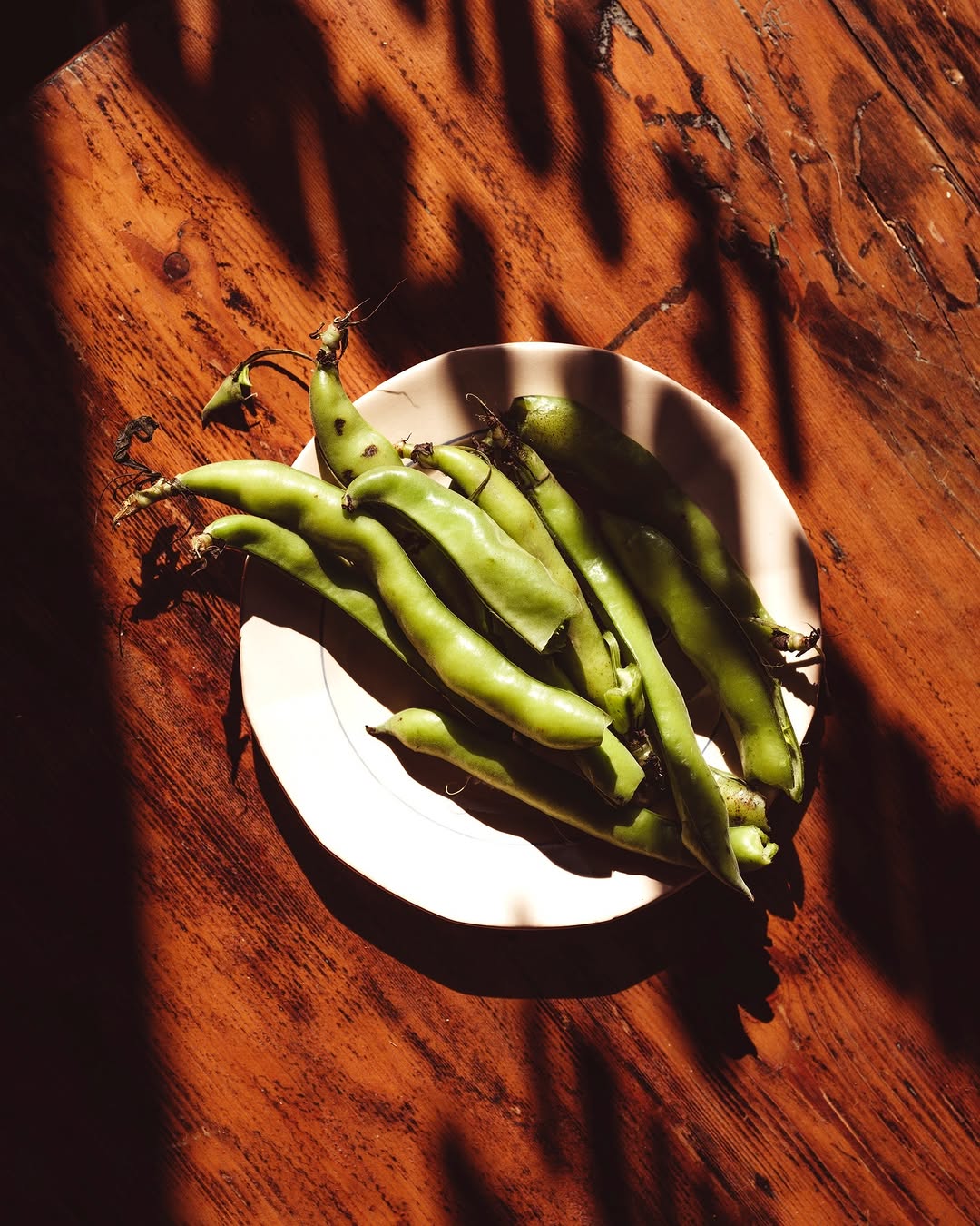 Croûton sur Instagram