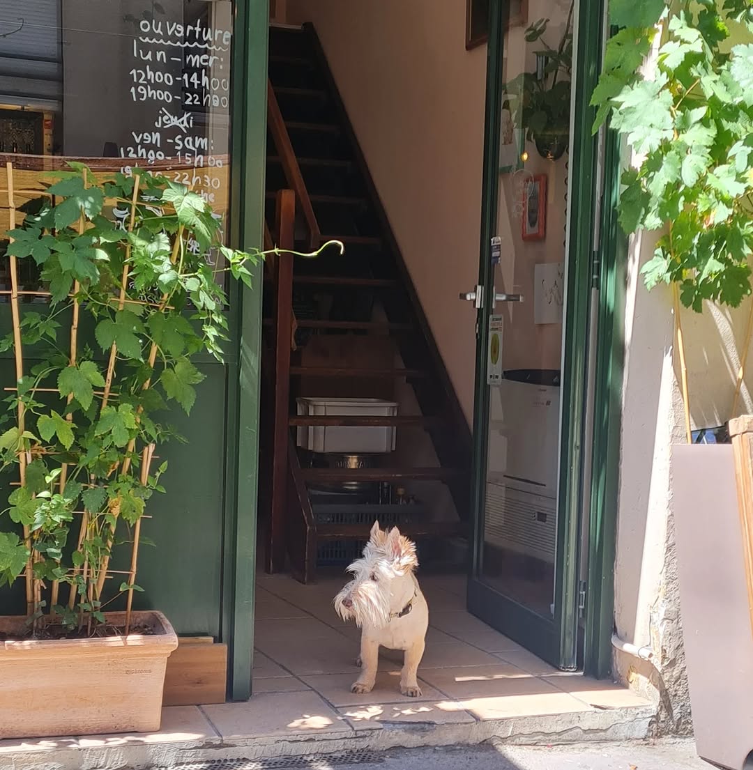 Suc Süc (สุก-สุข) sur Instagram