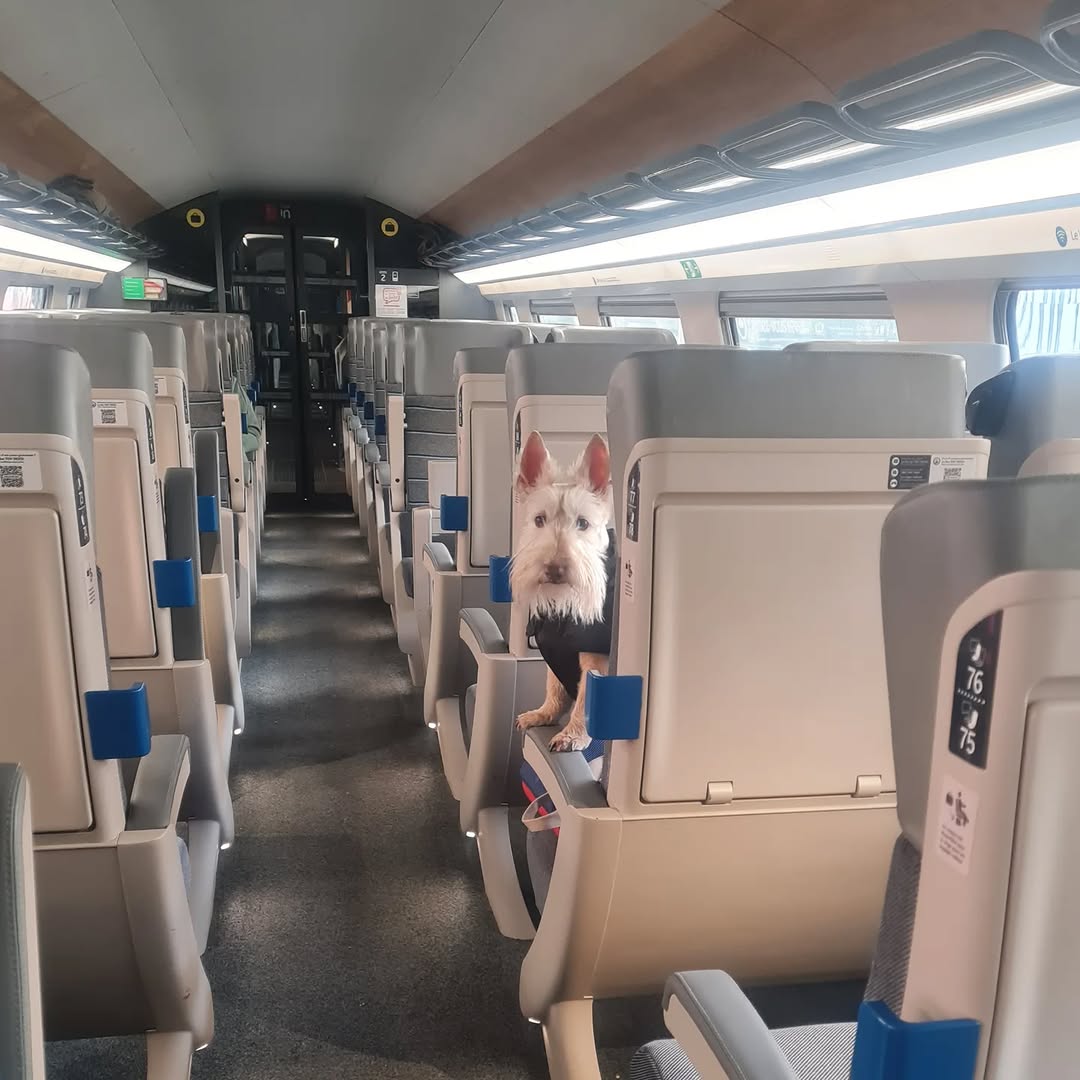 Suc Süc (สุก-สุข) sur Instagram