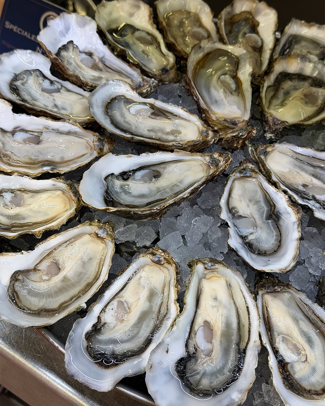 Merle Huîtres et Coquillages sur Instagram