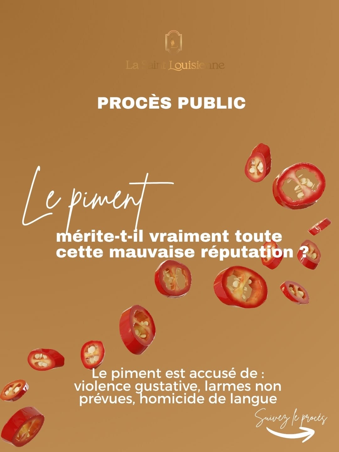 La Saint Louisienne sur Instagram