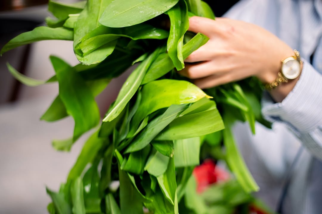 Schoup’s sur Instagram