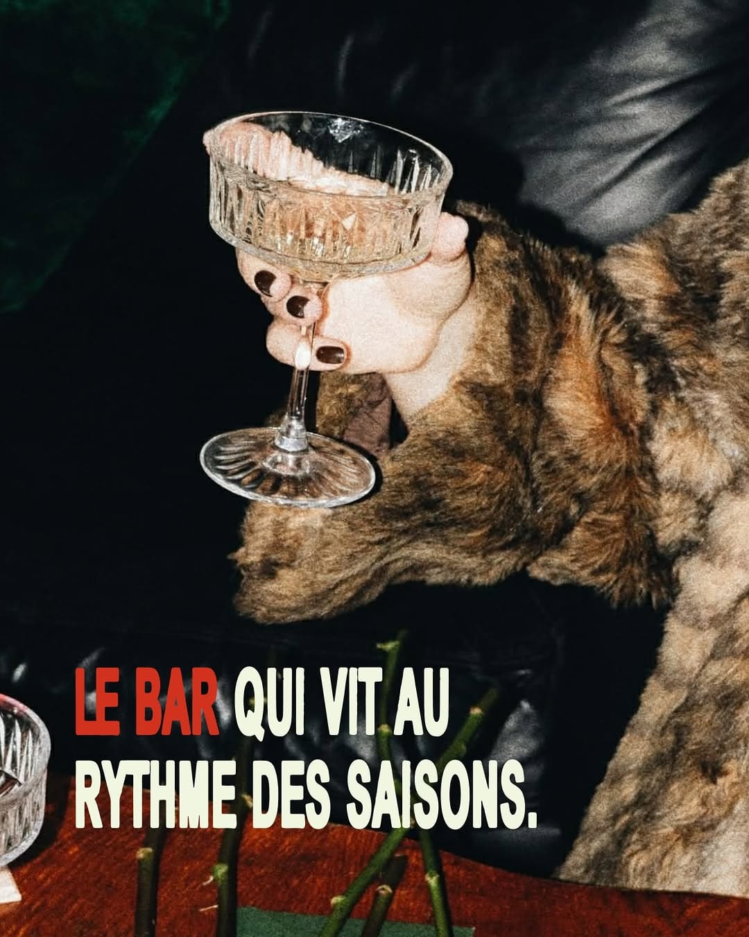 Baroof Lyon sur Instagram