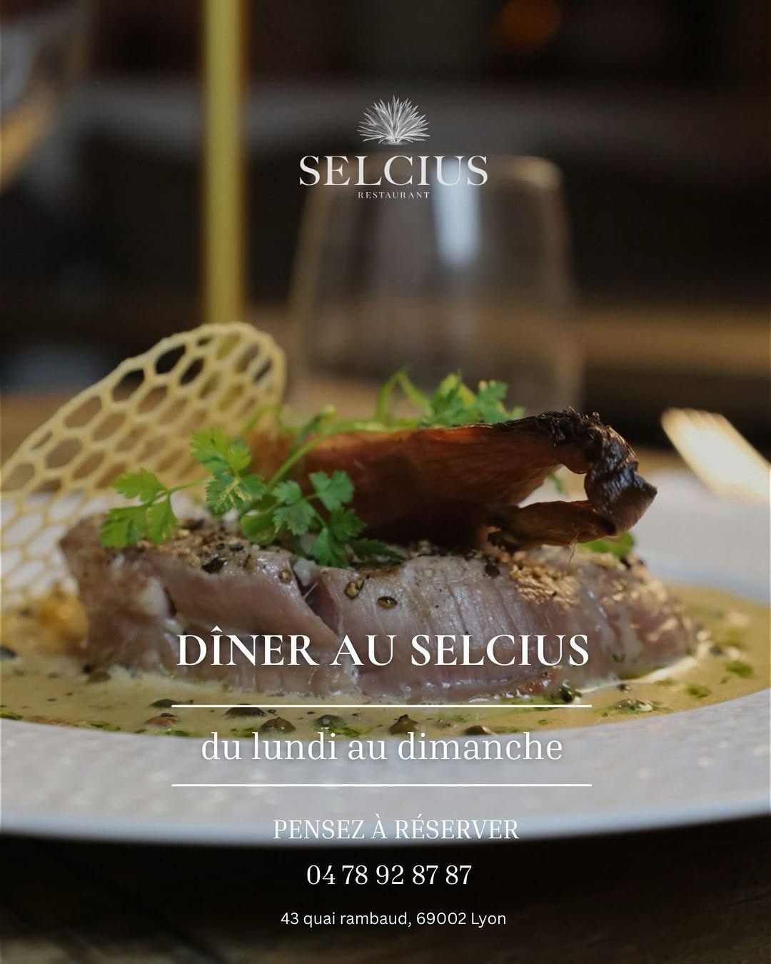 Selcius sur Instagram