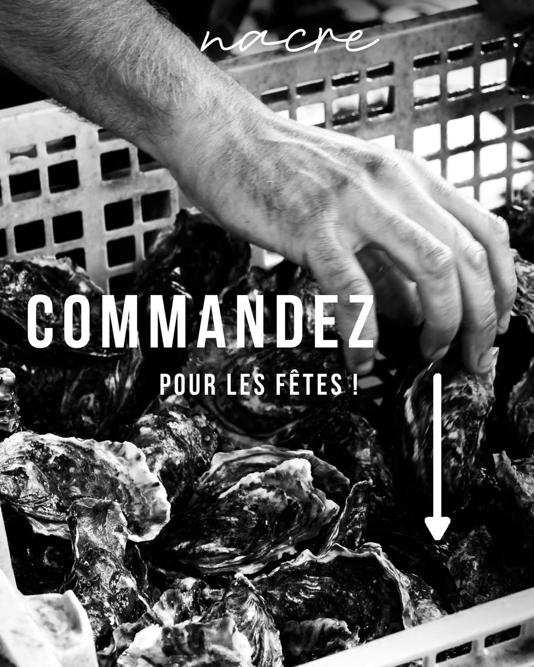 Nacre | Huîtres et fruits de mer sur Instagram