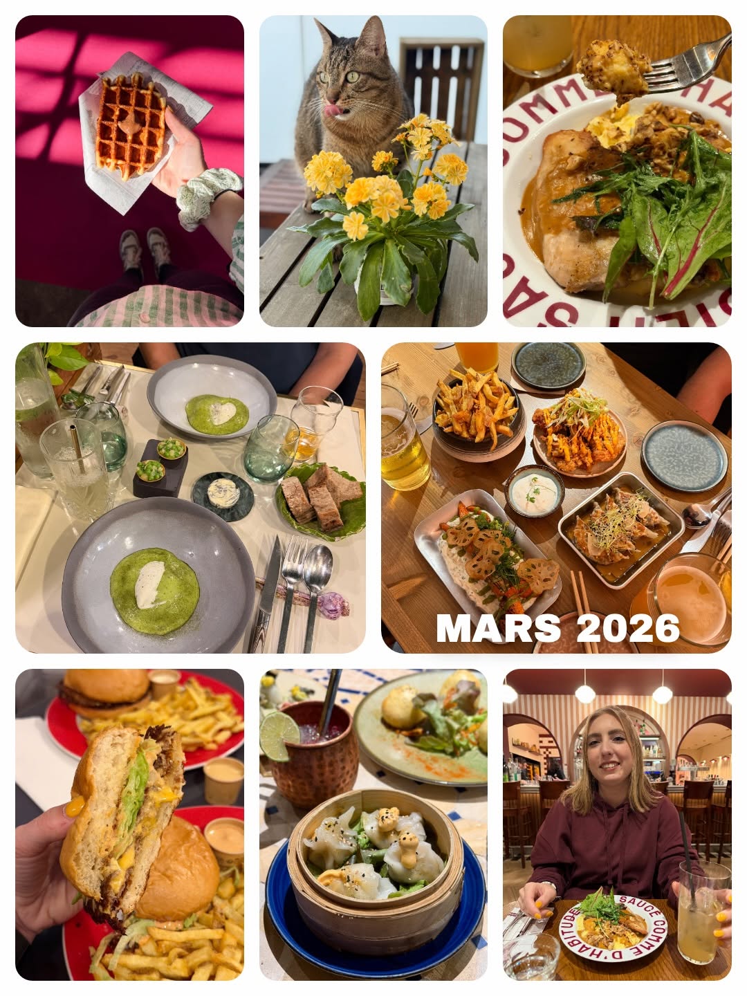 Totem et Tempo sur Instagram